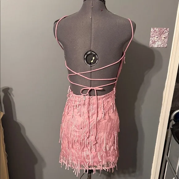 Lulu's Blush  Fringe Mini Dress - Picture 3 of 4